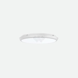 Surface Mount Ceiling Light